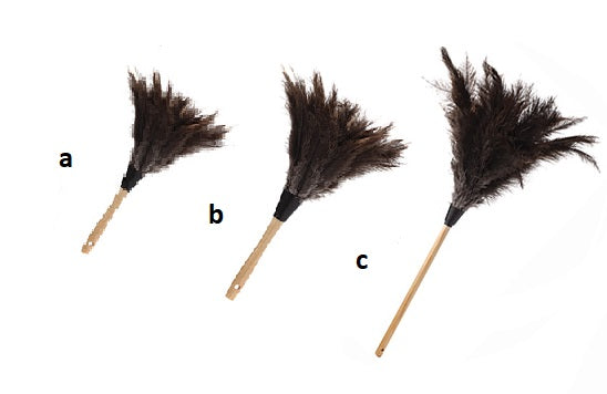 Ostrich Feathers Duster